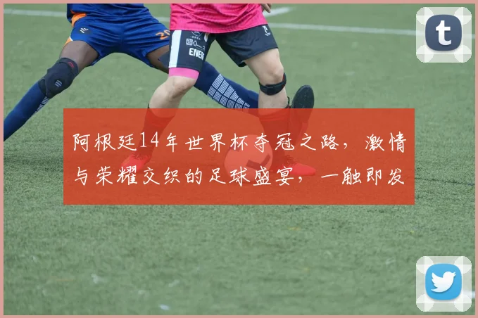 阿根廷14年世界杯夺冠之路，激情与荣耀交织的足球盛宴，一触即发